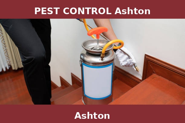 PEST CONTROL Ashton
